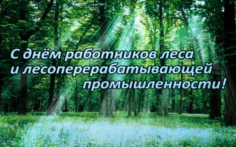 С днем работников лесной промышленности!.